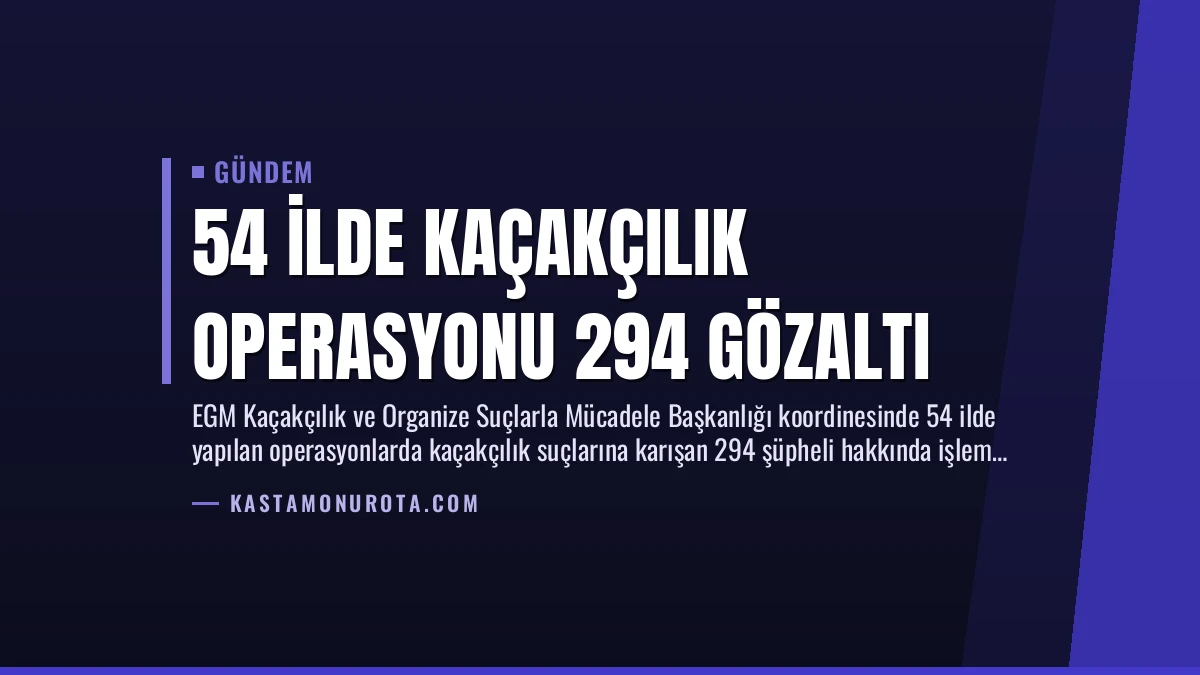 54 İlde Kaçakçılık Operasyonu 294 Gözaltı