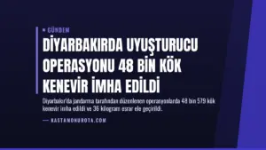 Diyarbakırda Uyuşturucu Operasyonu 48 Bin Kök Kenevir İmha Edildi