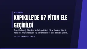 Kapıkule’de 67 Piton Ele Geçirildi
