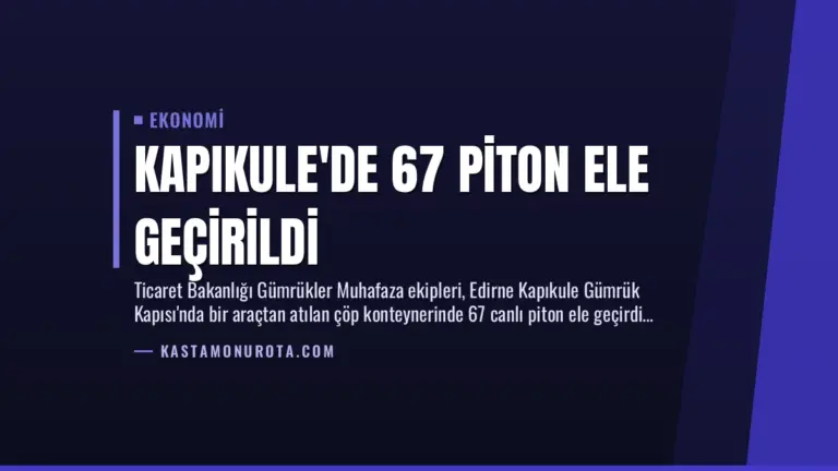Kapıkule’de 67 Piton Ele Geçirildi