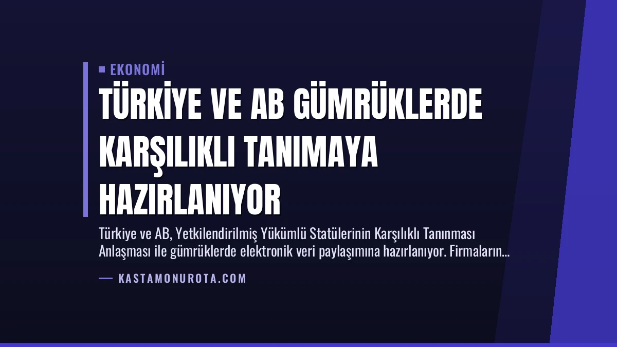 Türkiye ve AB Gümrüklerde Karşılıklı Tanımaya Hazırlanıyor